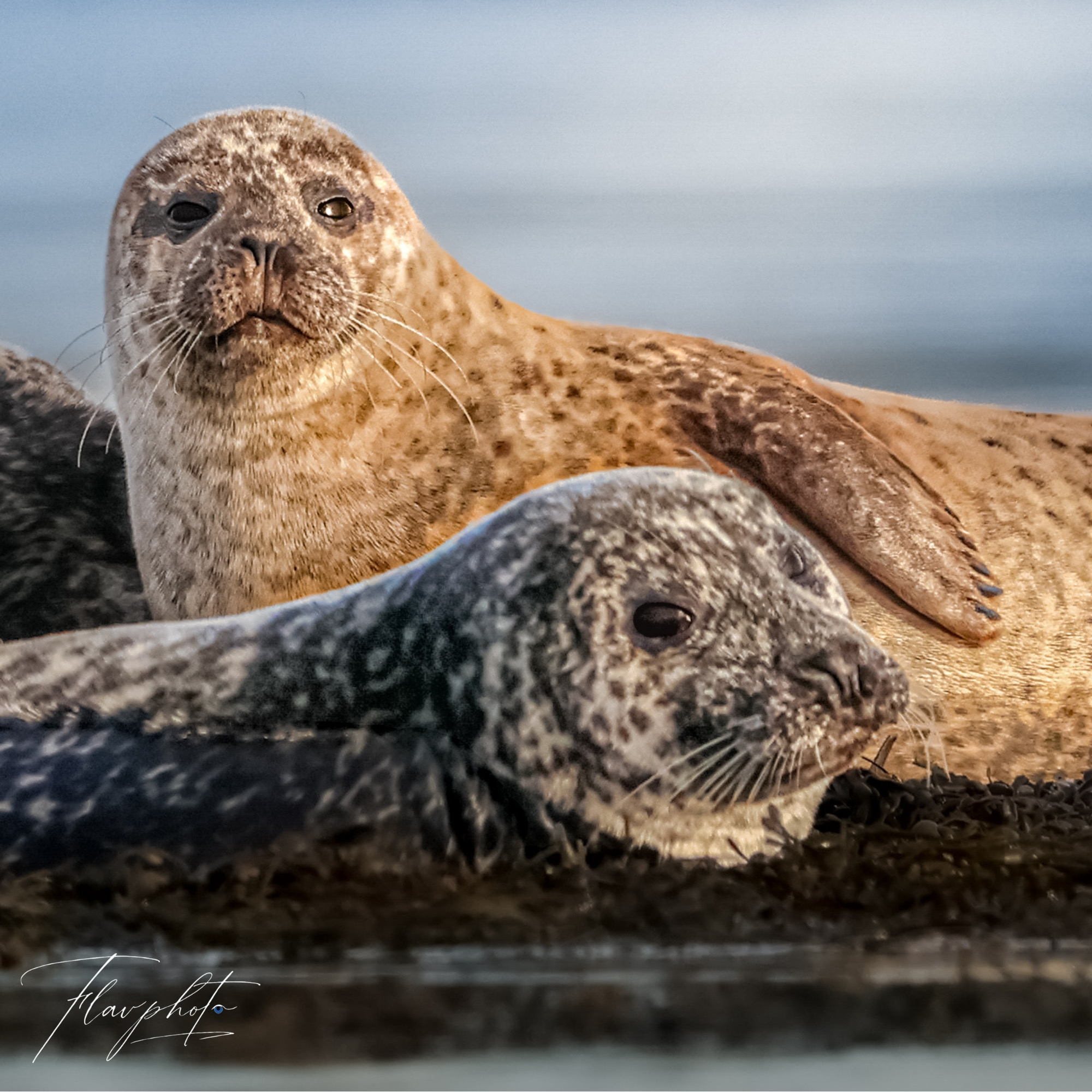 Photo nature en Ille-et-Vilaine